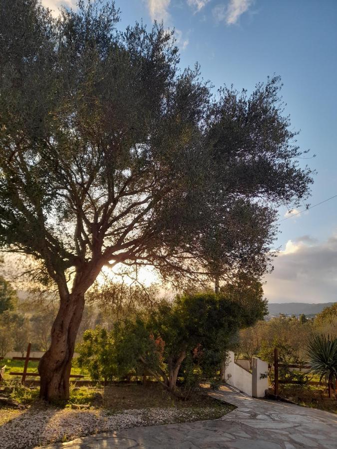 Agriturismo Palas De Serra Country Resort Onifai Exterior foto