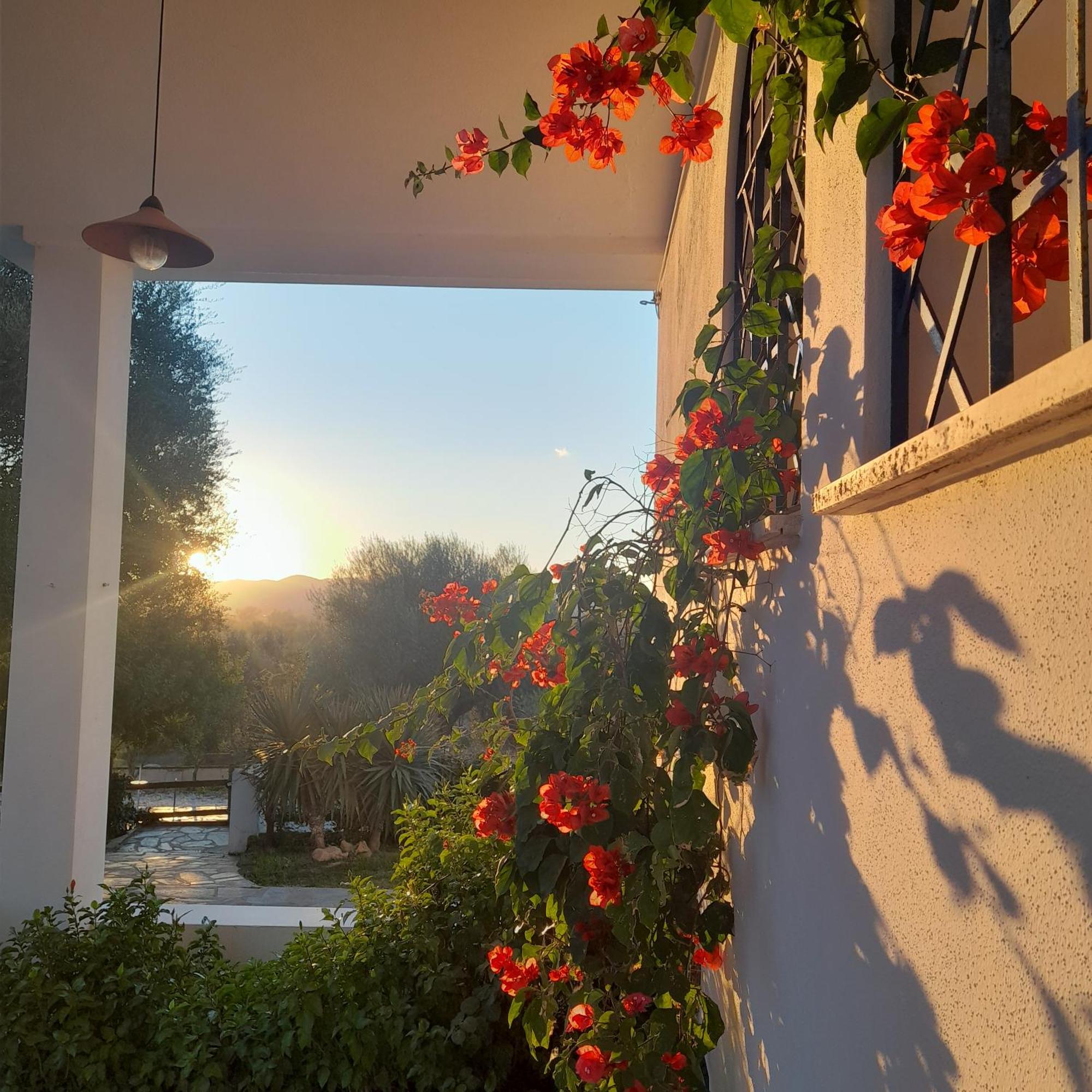 Agriturismo Palas De Serra Country Resort Onifai Exterior foto